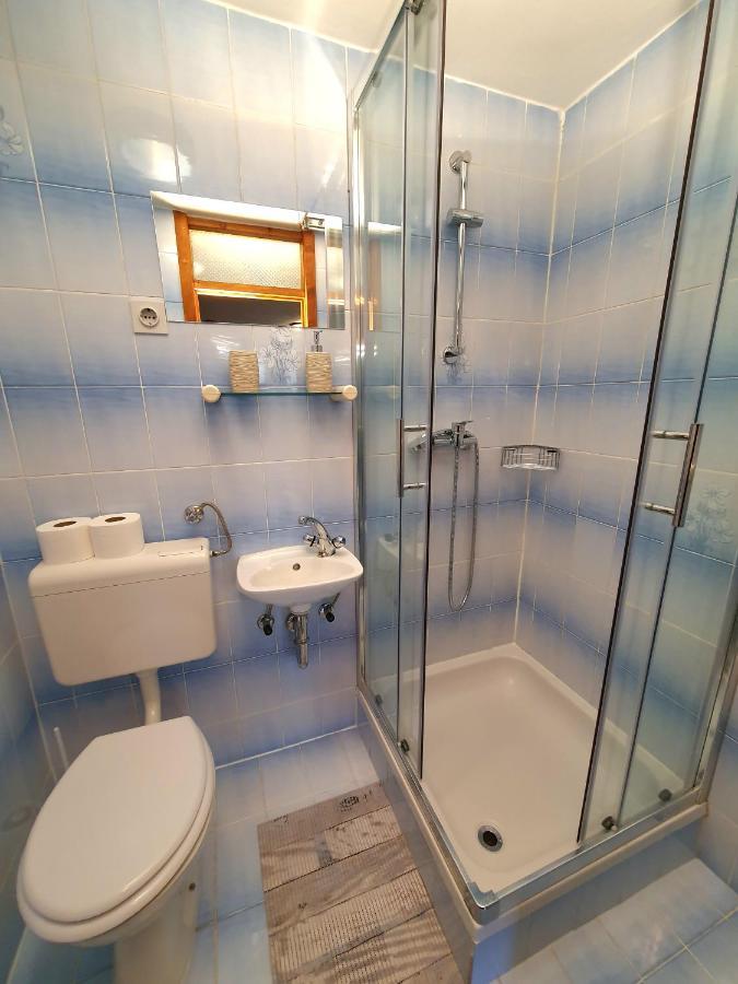 Apartmaji Zupanc Ivanka ボーヒニ エクステリア 写真